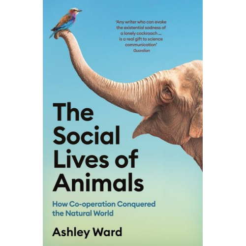 Ashley Ward - The Social Lives of Animals