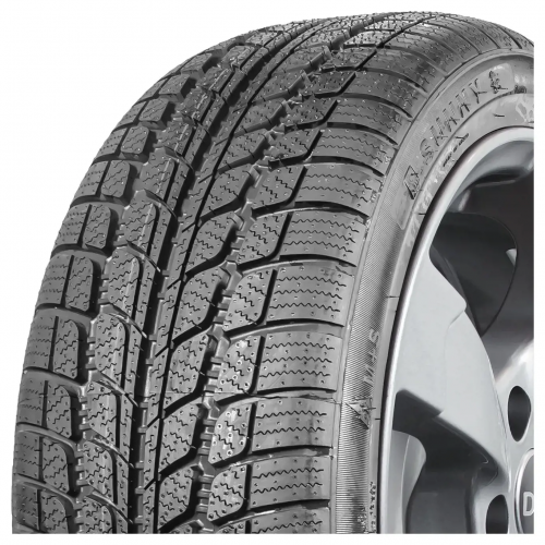 195/55 R16 87H SN 3830 Snowmaster