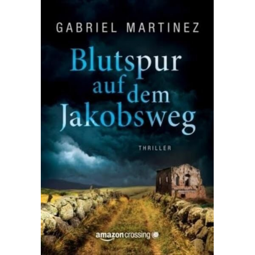 Gabriel Martínez - Blutspur auf dem Jakobsweg