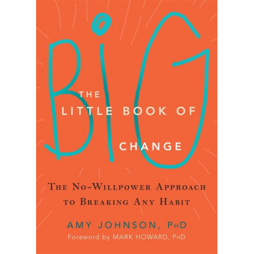 Amy Johnson - The Little Book of Big Change