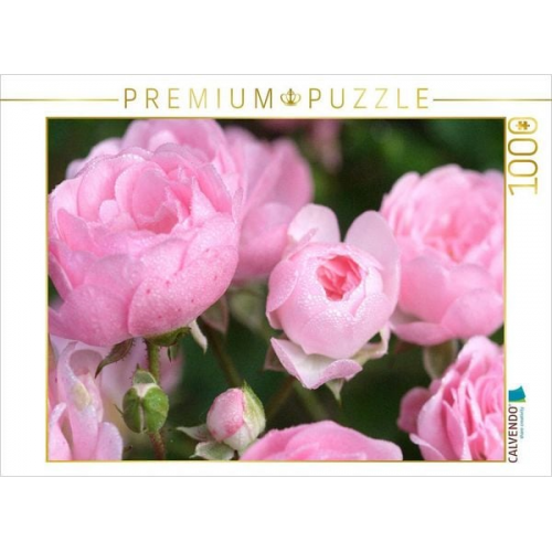 CALVENDO Puzzle Rose 'The Fairy' | 1000 Teile Lege-Größe 64x48cm Foto-Puzzle für glückliche Stunden