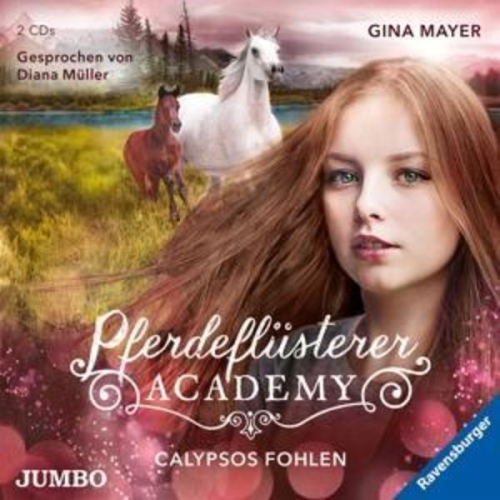 Müller, D: Pferdeflüsterer-Academy (6).Calypsos Fohlen