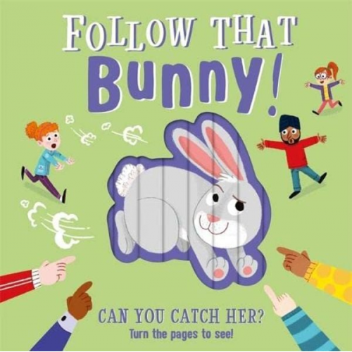 Igloo Books - Follow That Bunny!