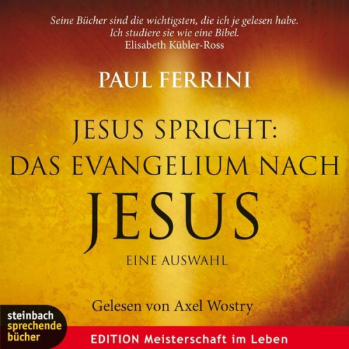 Paul Ferrini - Jesus spricht: Das Evangelium nach Jesus