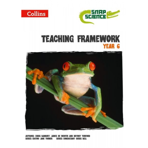 James De Winter - Teaching Framework Year 6