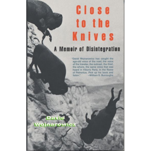 David Wojnarowicz - Close to the Knives