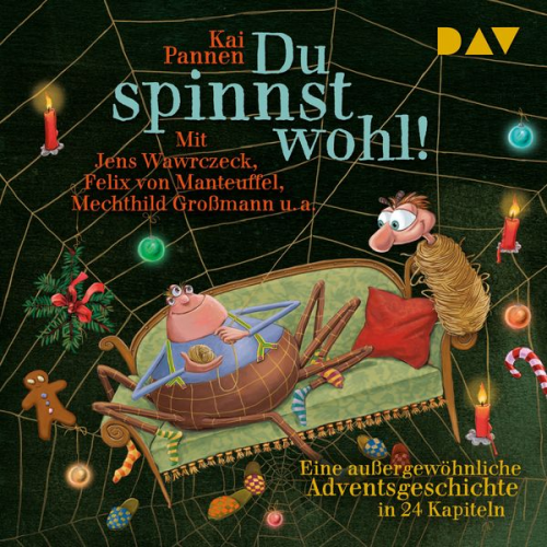 Kai Pannen - Du spinnst wohl! Eine außergewöhnliche Adventsgeschichte in 24 Kapiteln