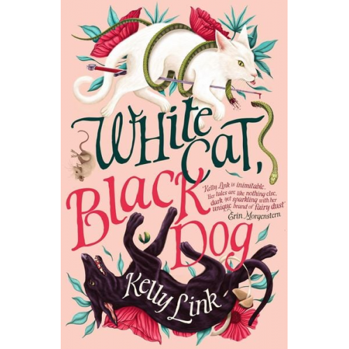 Kelly Link - White Cat, Black Dog