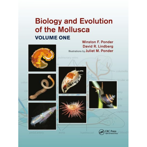 Winston Frank Ponder David R. Lindberg Juliet Mary Ponder - Biology and Evolution of the Mollusca, Volume 1