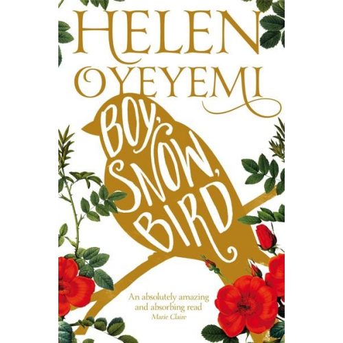 Helen Oyeyemi - Boy, Snow, Bird