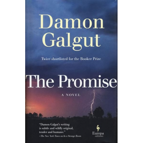 Damon Galgut - The Promise