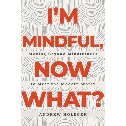 Andrew Holecek - I'm Mindful, Now What?