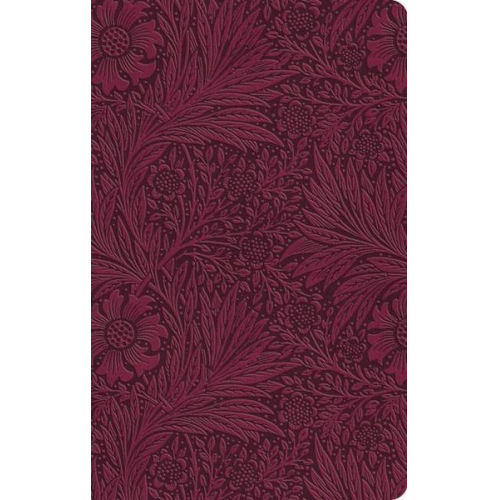 ESV Value Thinline Bible (Trutone, Raspberry, Floral Design)