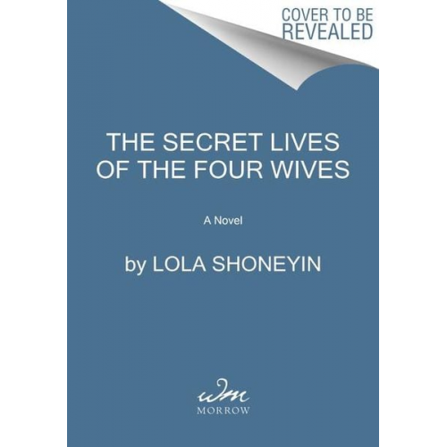 Lola Shoneyin - The Secret Lives of Baba Segi's Wives