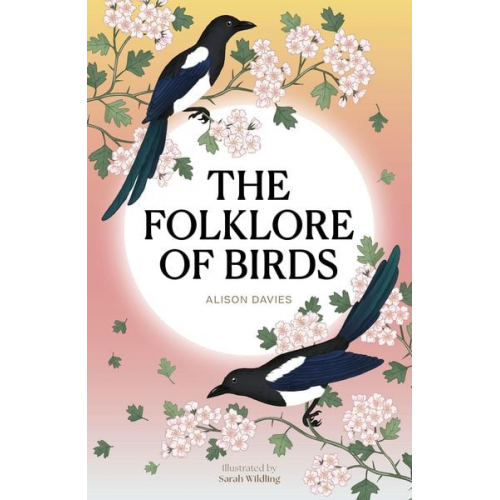 Alison Davies - The Folklore of Birds