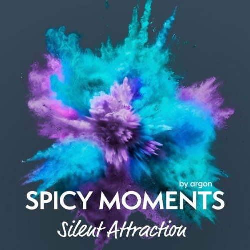 Spicy moments by argon - Silent Attraction - Erotische Geschichte