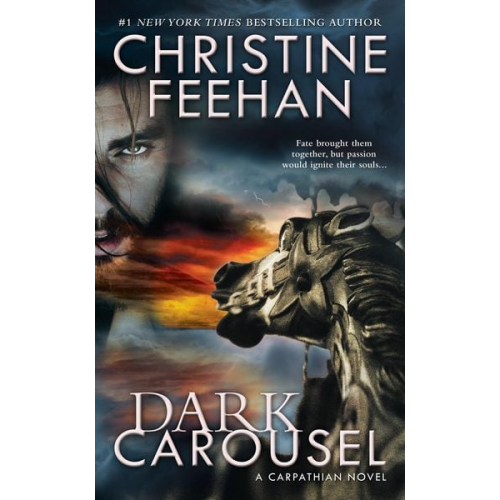 Christine Feehan - Dark Carousel