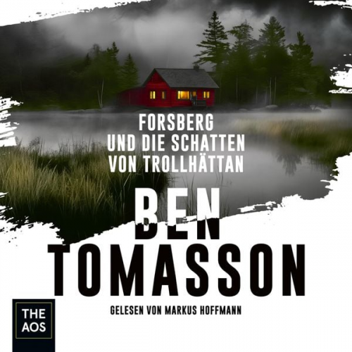 Ben Tomasson - Forsberg und die Schatten von Trollhättan