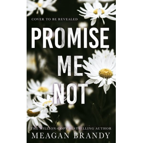 Meagan Brandy - Promise Me Not