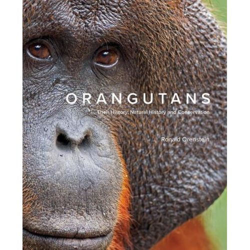 Ronald Orenstein - Orangutans