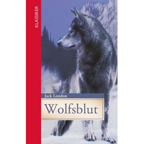 Jack London - Wolfsblut (Klassiker der Weltliteratur in gekürzter Fassung, Bd. ?)