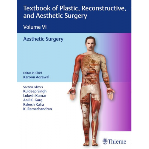 Textbook of Plastic, Reconstructive, and Aesthetic Surgery, Vol 6