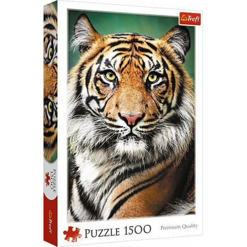 Puzzle 1500 - Portrait eines Tiger's