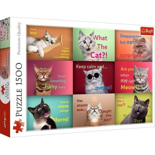 Puzzle 1500 - Lustige Katzenporträts