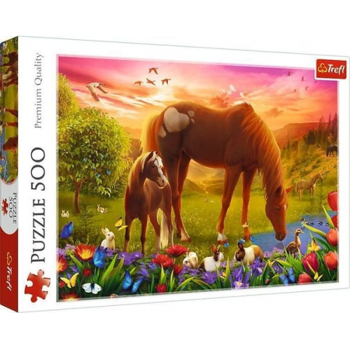 Puzzle 500 Pferde auf der Wiese