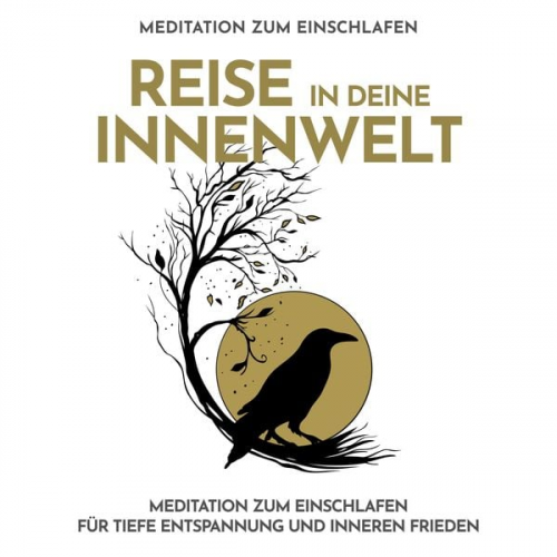 Raphael Kempermann - Reise in deine Innenwelt - Meditation zum Einschlafen