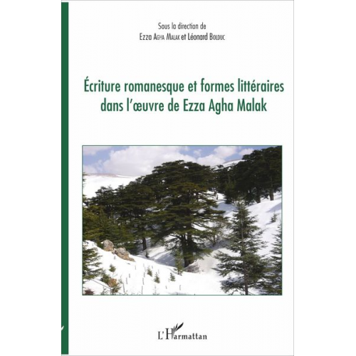 Ezza Agha Malak Léonard Bolduc - Ecriture romanesque et formes littéraires dans l'oeuvre de Ezza Agha Malak