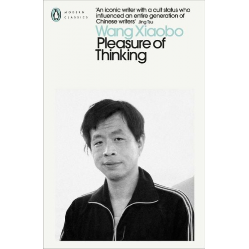 Wang Xiaobo - Pleasure of Thinking