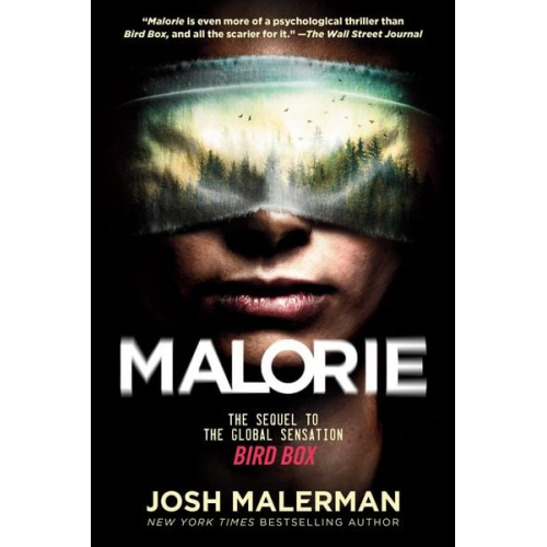 Josh Malerman - Malorie