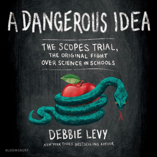 Debbie Levy - A Dangerous Idea