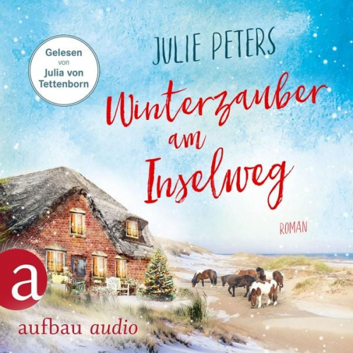 Julie Peters - Winterzauber am Inselweg