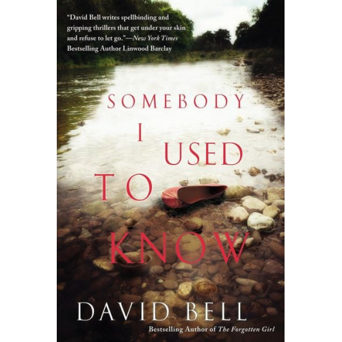 David Bell - Somebody I Used to Know