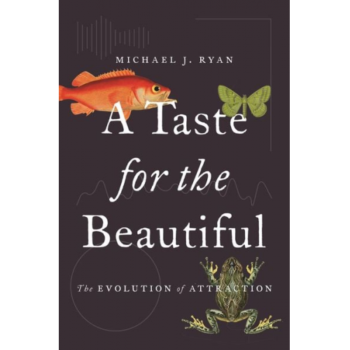 Michael J. Ryan - A Taste for the Beautiful