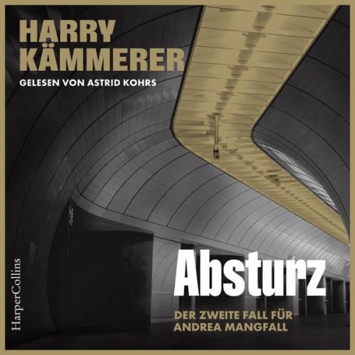 Harry Kämmerer - Absturz (ungekürzt)