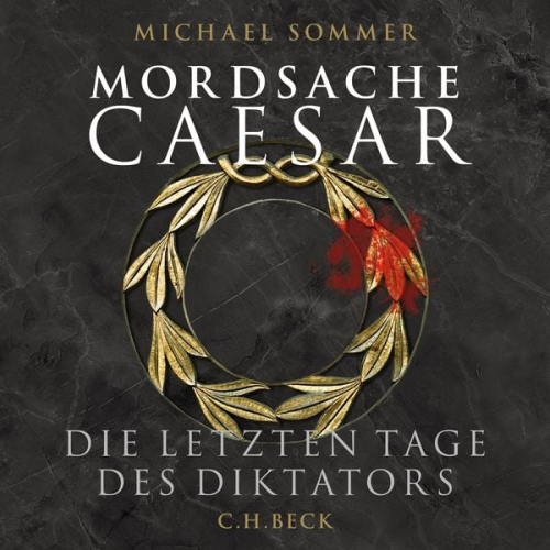 Michael Sommer - Mordsache Caesar