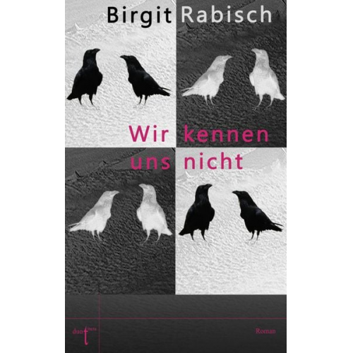 Birgit Rabisch - Wir kennen uns nicht