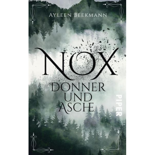 Ayleen Beekmann - Nox - Donner und Asche