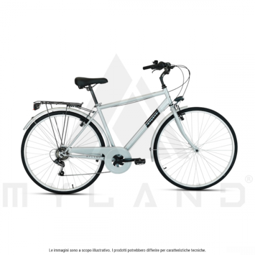 Citybike Dosso 28' M Grau mit Shimano 7-Gang Schaltung und Stahlrahmen