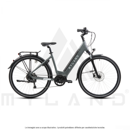 E-Bike Big Handy 28' Grau L mit Shimano 8V und Ananda M80 Motor