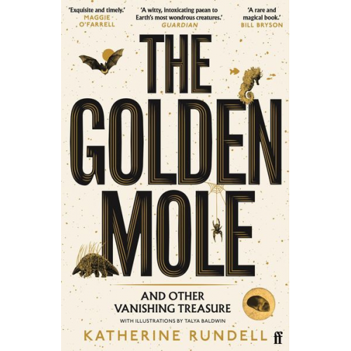 Katherine Rundell - The Golden Mole