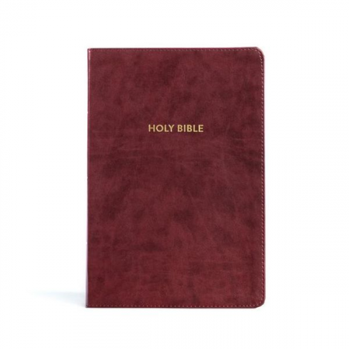 Holman Bible Publishers - KJV Rainbow Study Bible, Burgundy Leathertouch