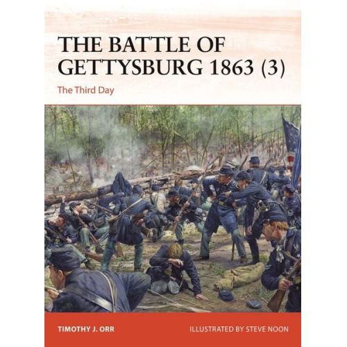 Timothy J. Orr - The Battle of Gettysburg 1863 (3)