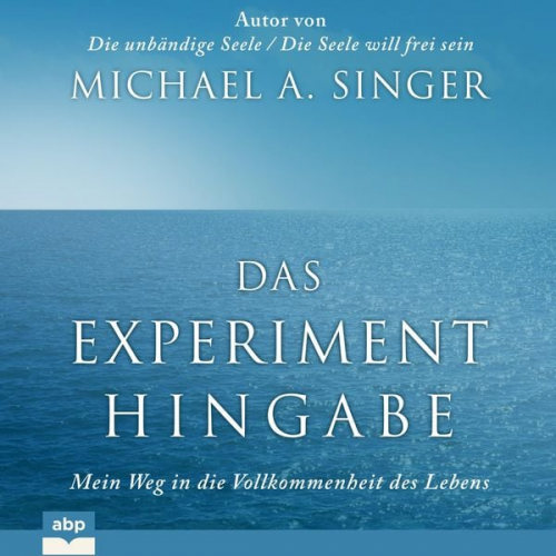 Michael Alan Singer - Das Experiment Hingabe