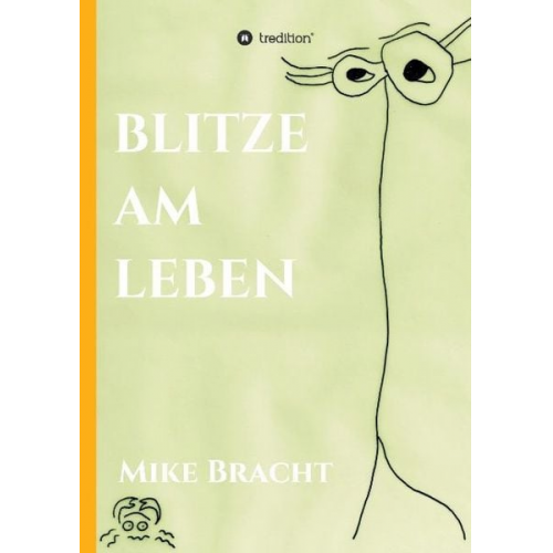 Mike Bracht - Blitze am Leben