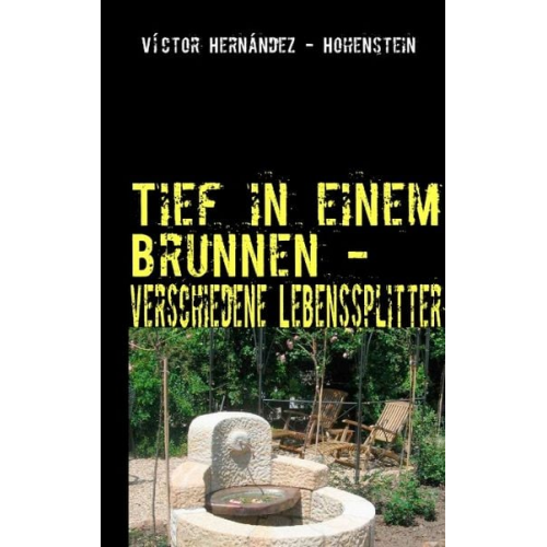 Víctor Hernández-Hohenstein - Tief in einem Brunnen -