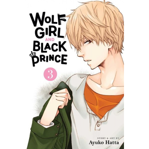 Ayuko Hatta - Wolf Girl and Black Prince, Vol. 3